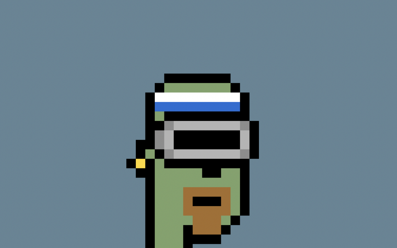 CryptoPunk #2560, Collected by Danpolko